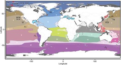 Heterogeneity in diagnostic characters across ecoregions: A case study with Botrynema (Hydrozoa: Trachylina: Halicreatidae)